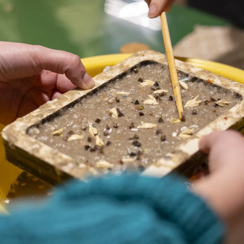 Creazione della carta sostenibile artigianale da scarti agricoli